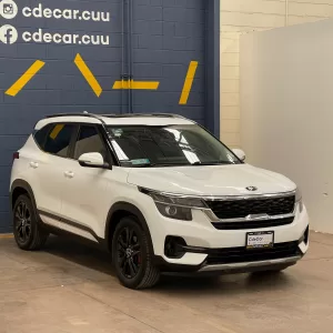 Kia Seltos Ex Pack 2020