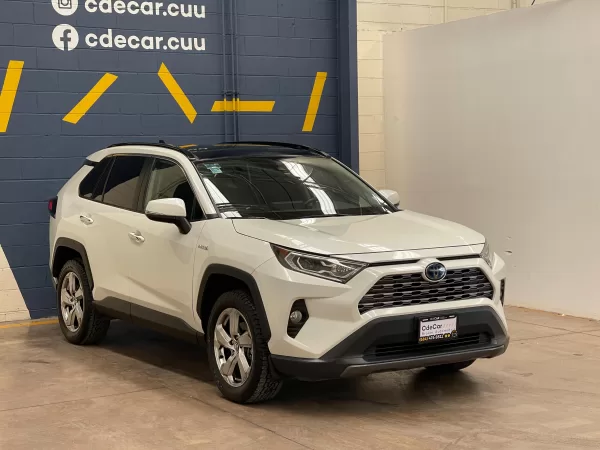 Toyota Rav4 Hybrid (HSD) 2021
