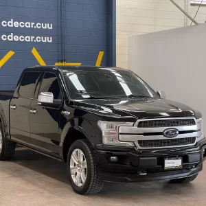 Ford Lobo Platinum 2018