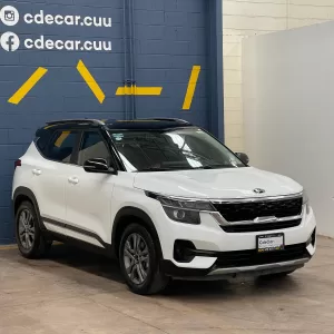 Kia Seltos Ex Pack 2021